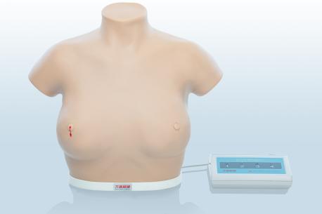 電子乳腺癌觸診、視診訓(xùn)練模型